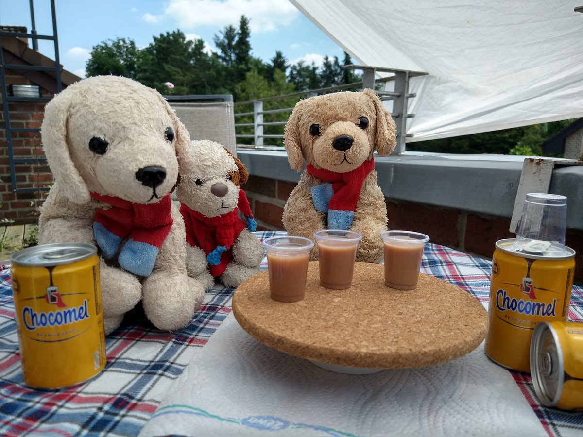 "Guckt mal! Was der Mensch uns aus der Stadt mitgebracht hat!"
"Kalter Kakao! Aus Dosen!"
"Ui. Sehr erfrischend!"
"Warum war'n wir eigentlich so lang nicht auf dem Balkon?  Schön hier!"
"Wir dürfen nicht vergessen, allen Followers schönes Wochenende zu wünschen!"
*Pfotengewinke*
