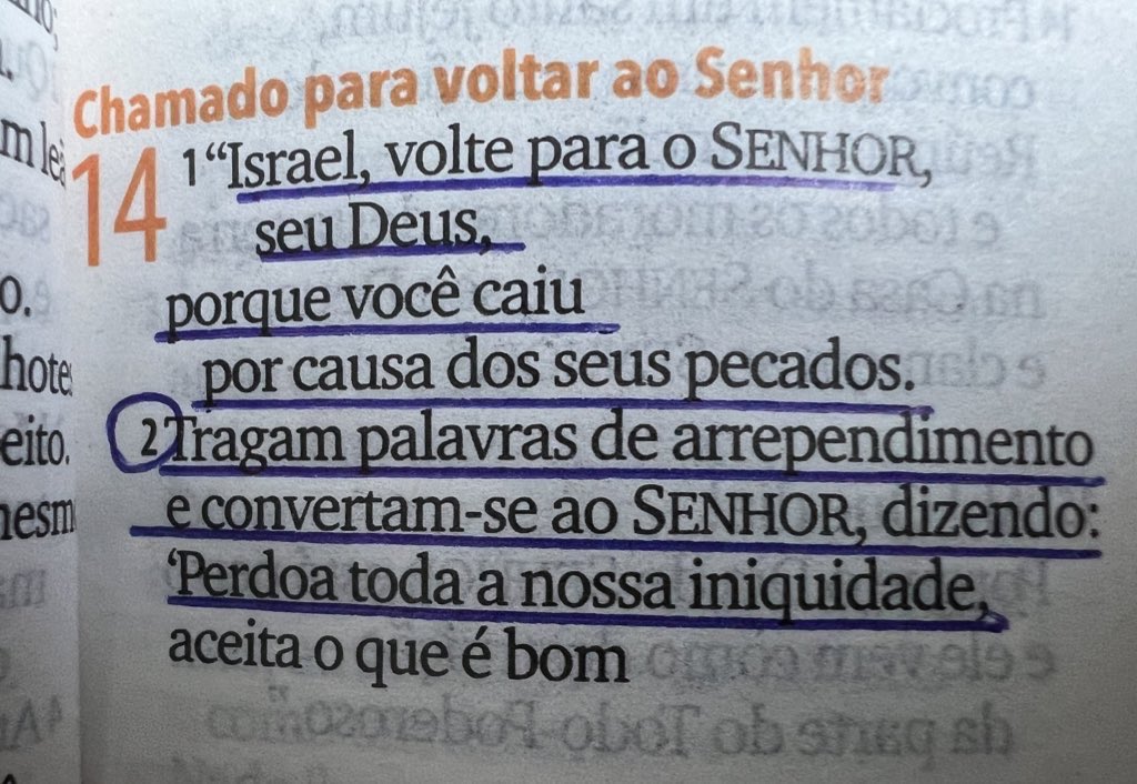 É tempo de voltar para o Senhor: com arrependimento, confissão e coração quebrantado. 

Leia Oseias 14.

#reavivadosporsuapalavra 📖