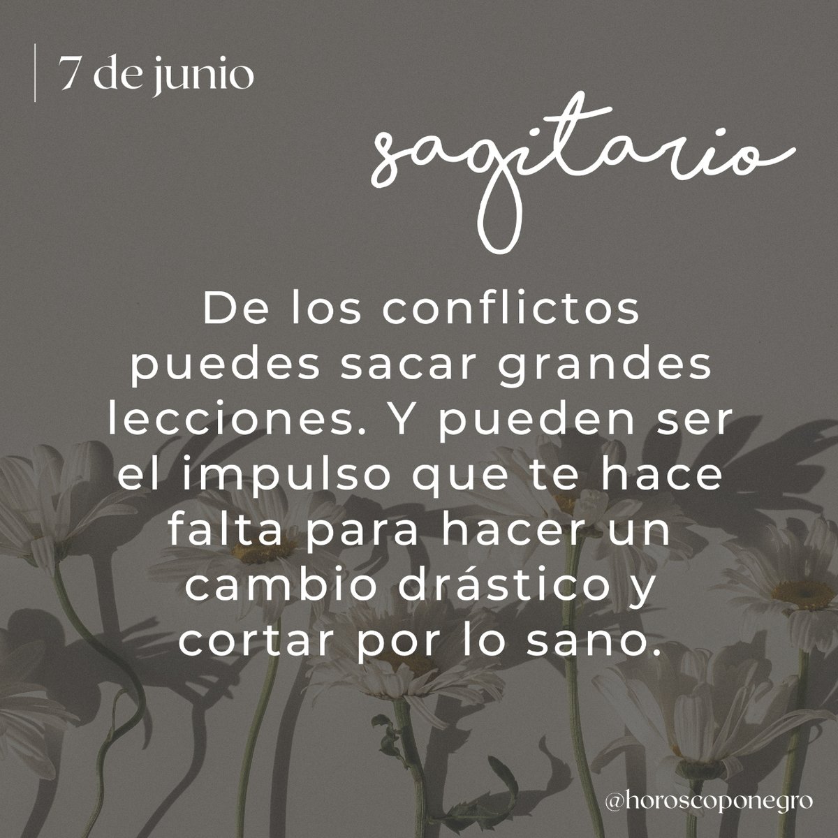 sagitario_hn's tweet photo. ✨♐️✨ https://t.co/PVY762PI8l