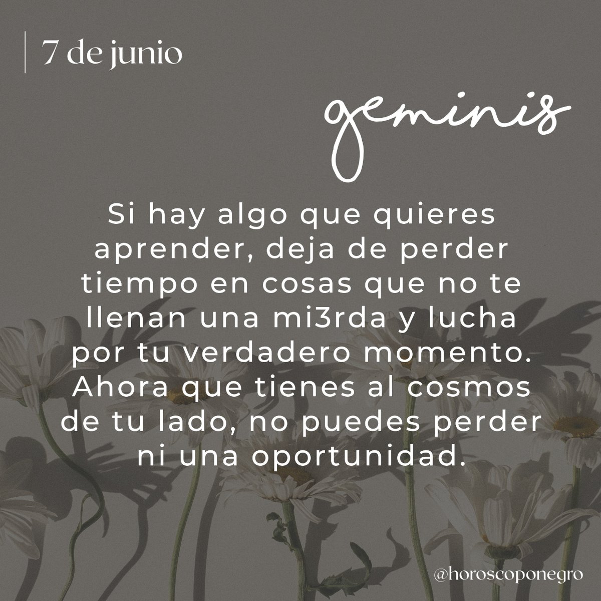 geminis_hn's tweet photo. ✨♊️✨ https://t.co/qwygFyLq1a