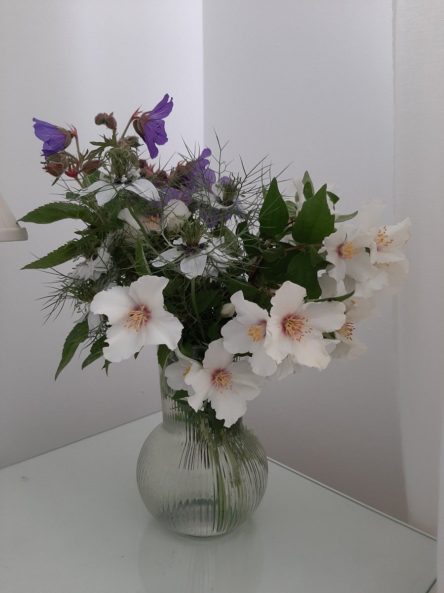 Mint and orange 😌