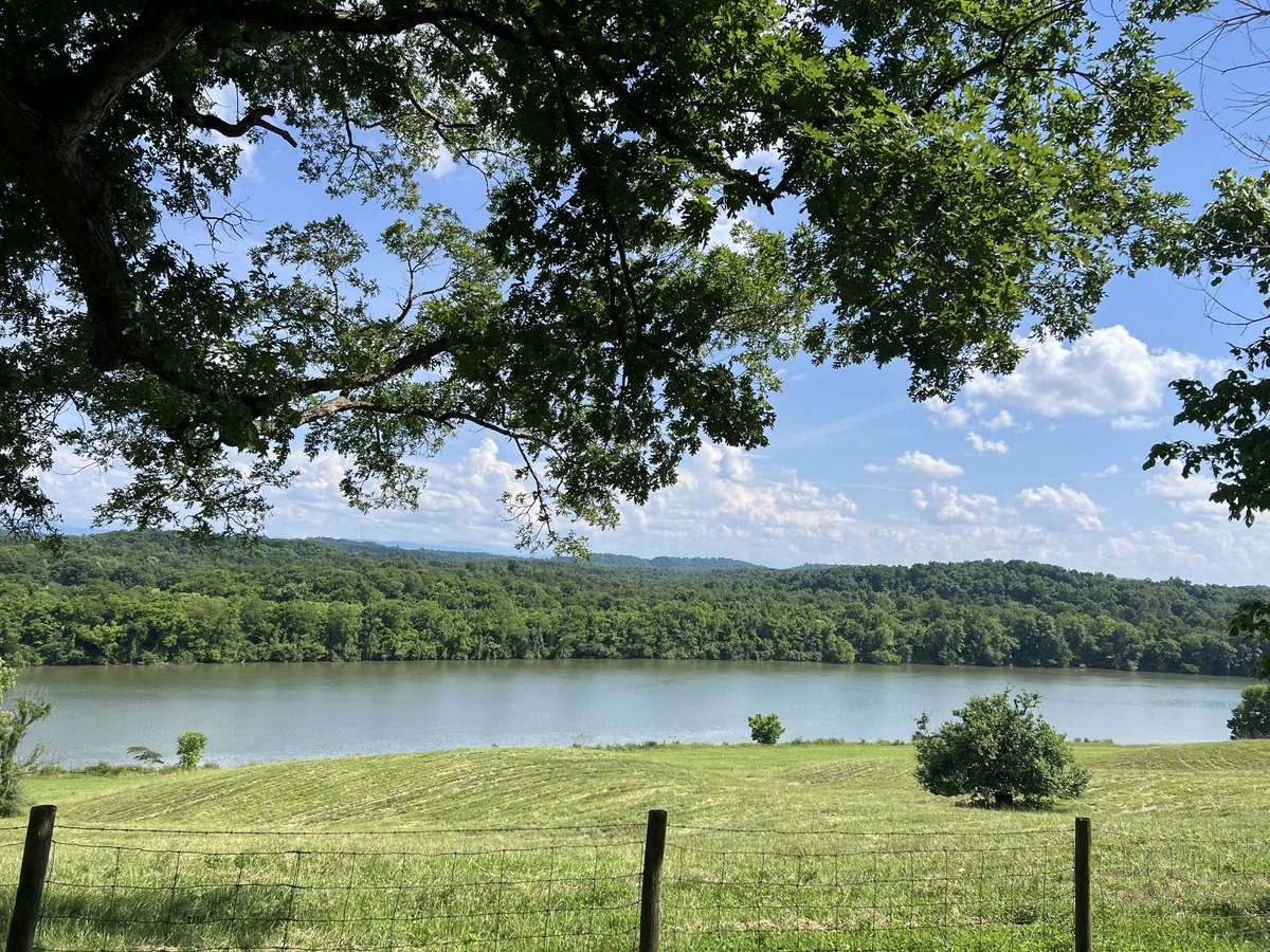 Friday Photo <a href="/UTIAg/">UT Institute of Agriculture</a> 

Agricultural research plot along the Holston River in east Knox County 🌾 #agriculture
