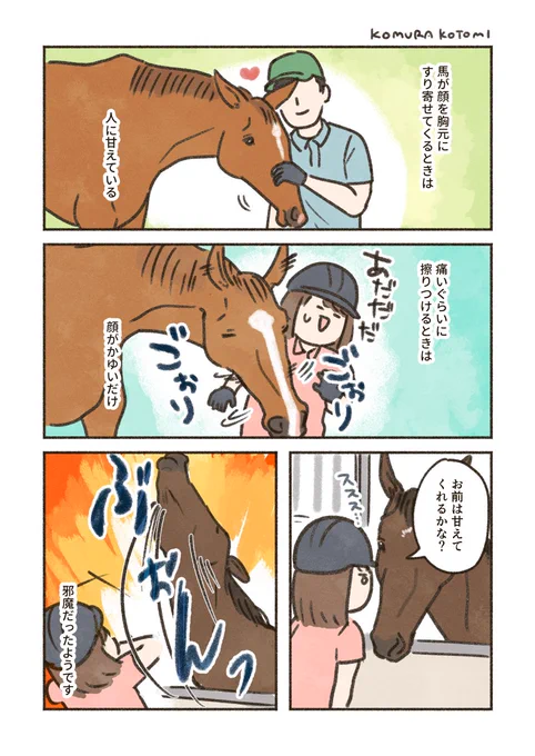 馬に甘えてもらいたい 