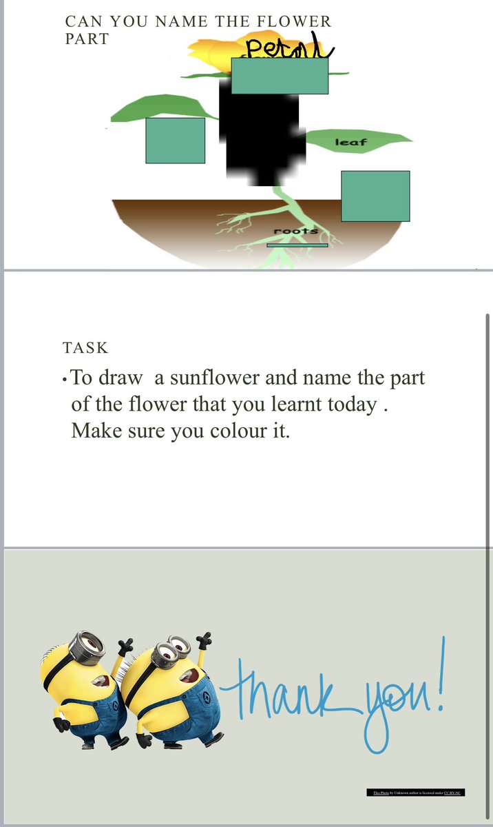 class3stmarys's tweet photo. This week we were lucky to have two year 6 children join us. They wanted to plan and deliver a science lesson. They made a PowerPoint presentation all independently using their computing skills. Class 3 loved it and very impressed
@class14stmarys @stmarysderby https://t.co/qGHLG4Ef8M