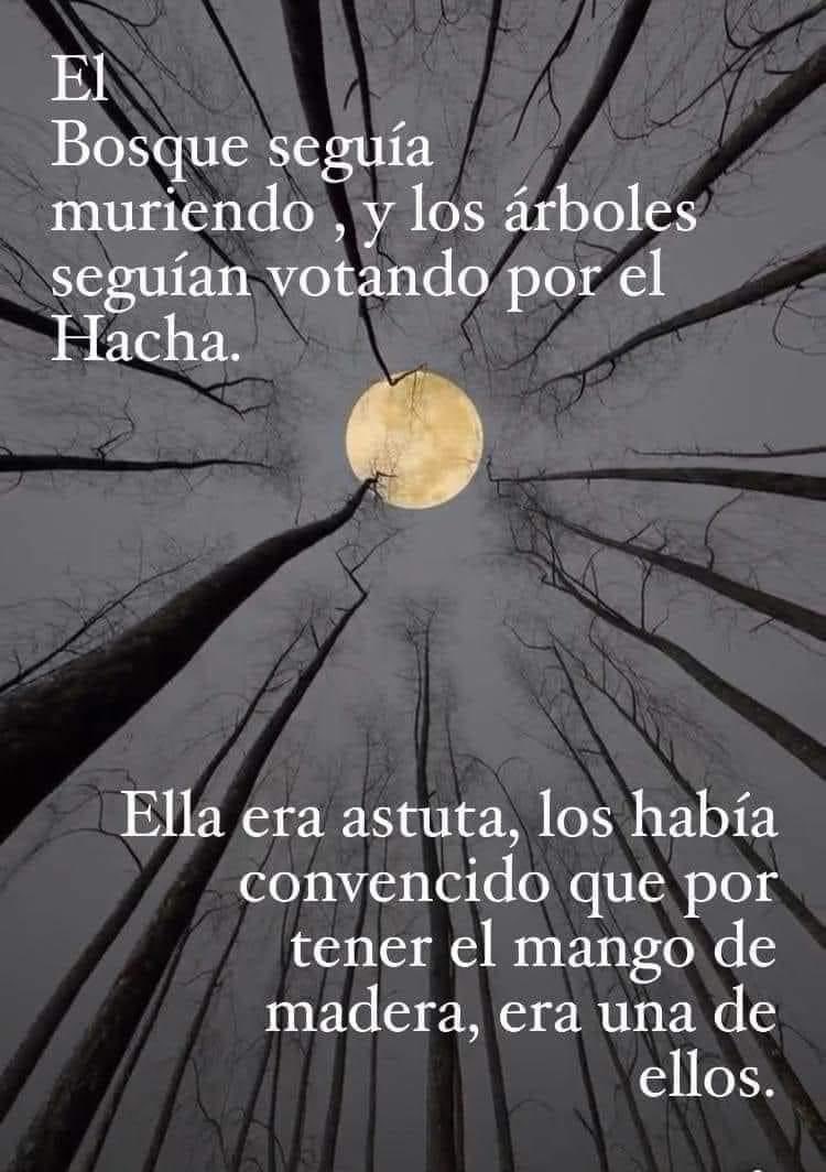 RafferMx's tweet image. 