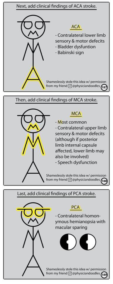hamood578's tweet image. #معلومه #nursing #ernurses 
كيف نفرق بين اماكن ال stroke 🧠