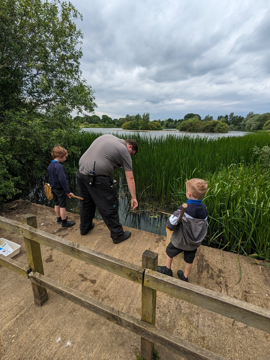 OWPSturtles tweet media