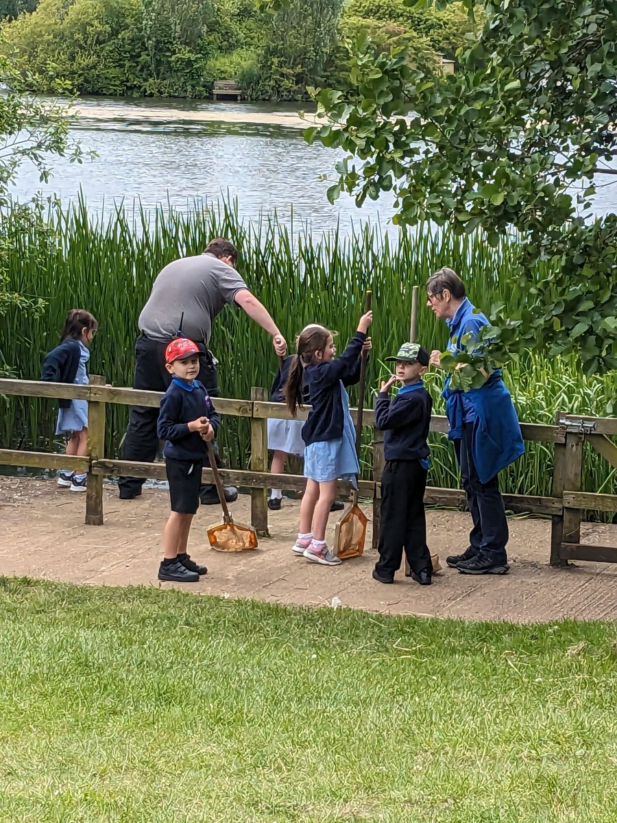 Pond dipping to discover what lives in a freshwater habitat! 🐸