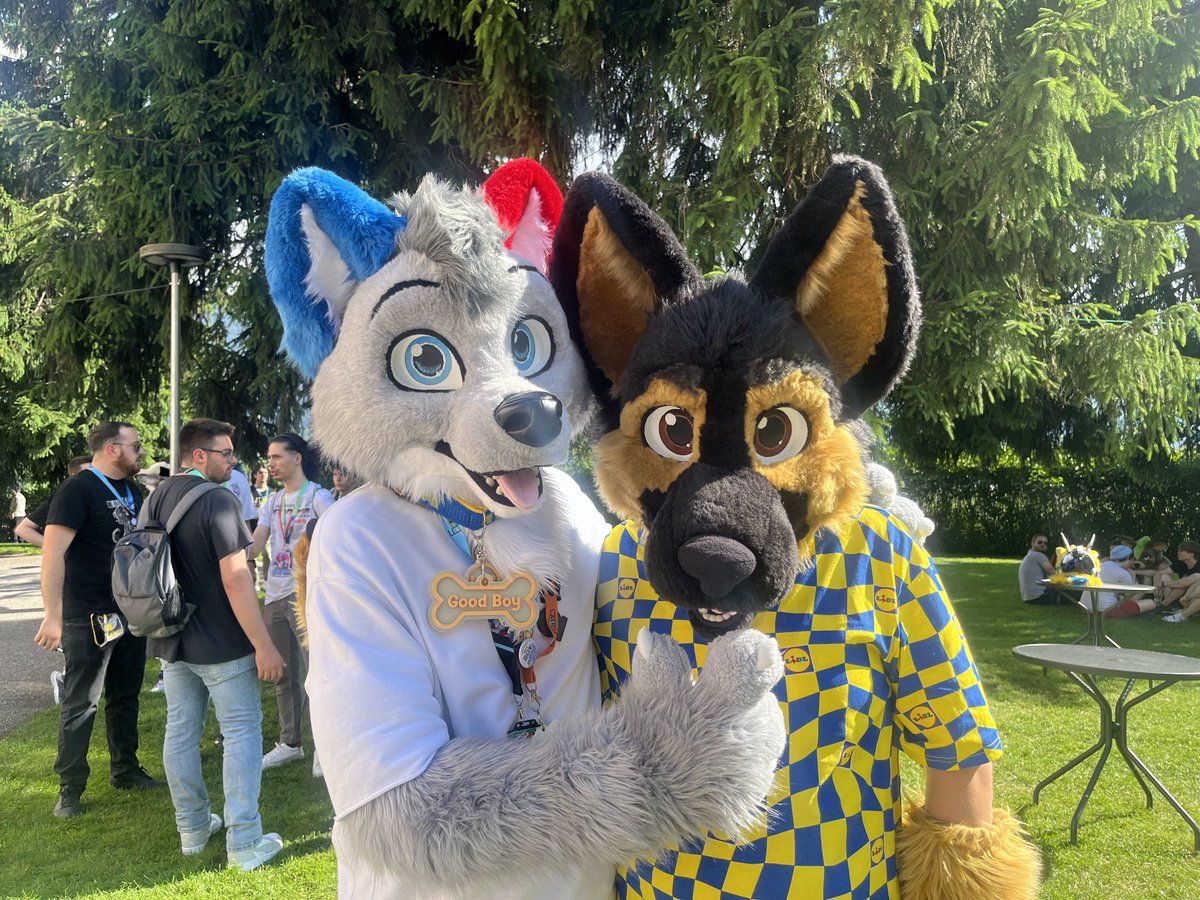 Happy #FursuitFriday!  I meet my italy brother:3 <a href="/LHypewolf/">Hype 🐾</a>
📸: <a href="/LudantoRed/">@ludantored.bsky.social</a>
✂️: @R5suits
🗓️: Furizon: Overlord