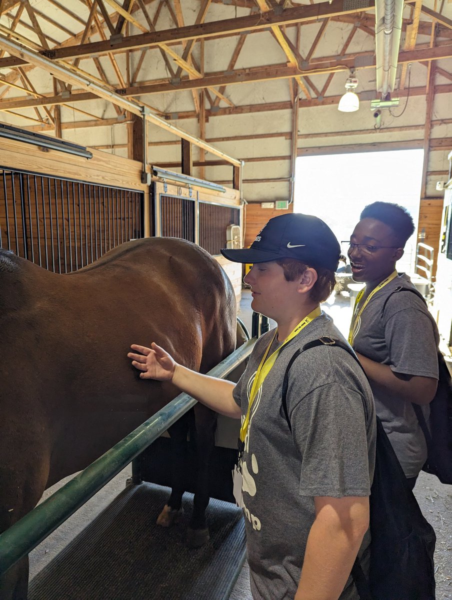 BoilerVetCamp's tweet photo. #teamllama learning about equine care https://t.co/ktyeMW4adt