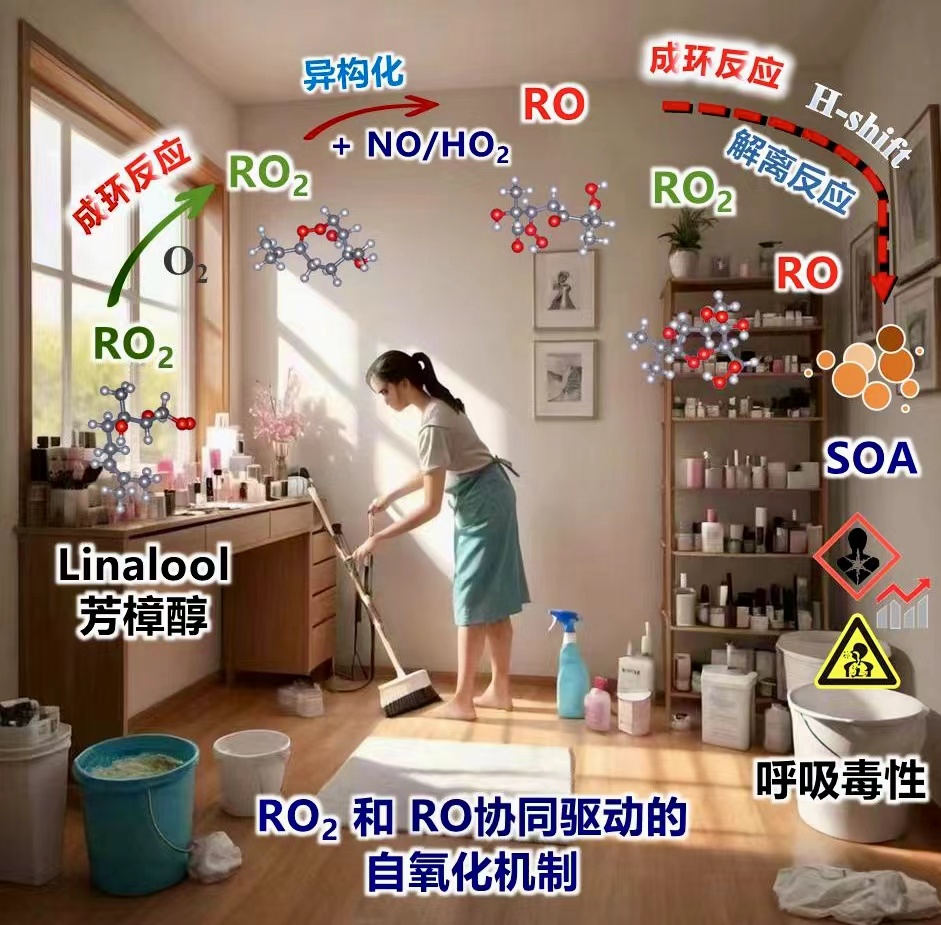 PKU1898's tweet image. #Linalool is increasingly recognized as an emerging #contaminant, especially in indoor air. Their findings reveal that linalool can undergo novel mechanisms involving concerted peroxy (RO2·) and alkoxy radical (RO·) modulated autoxidation.