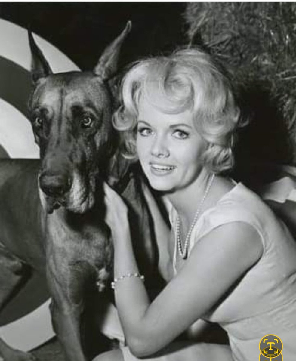 Diana Millay, "The Phoenix" was born on this day.
June 7, 1935-January 28, 2021
#DarkShadows