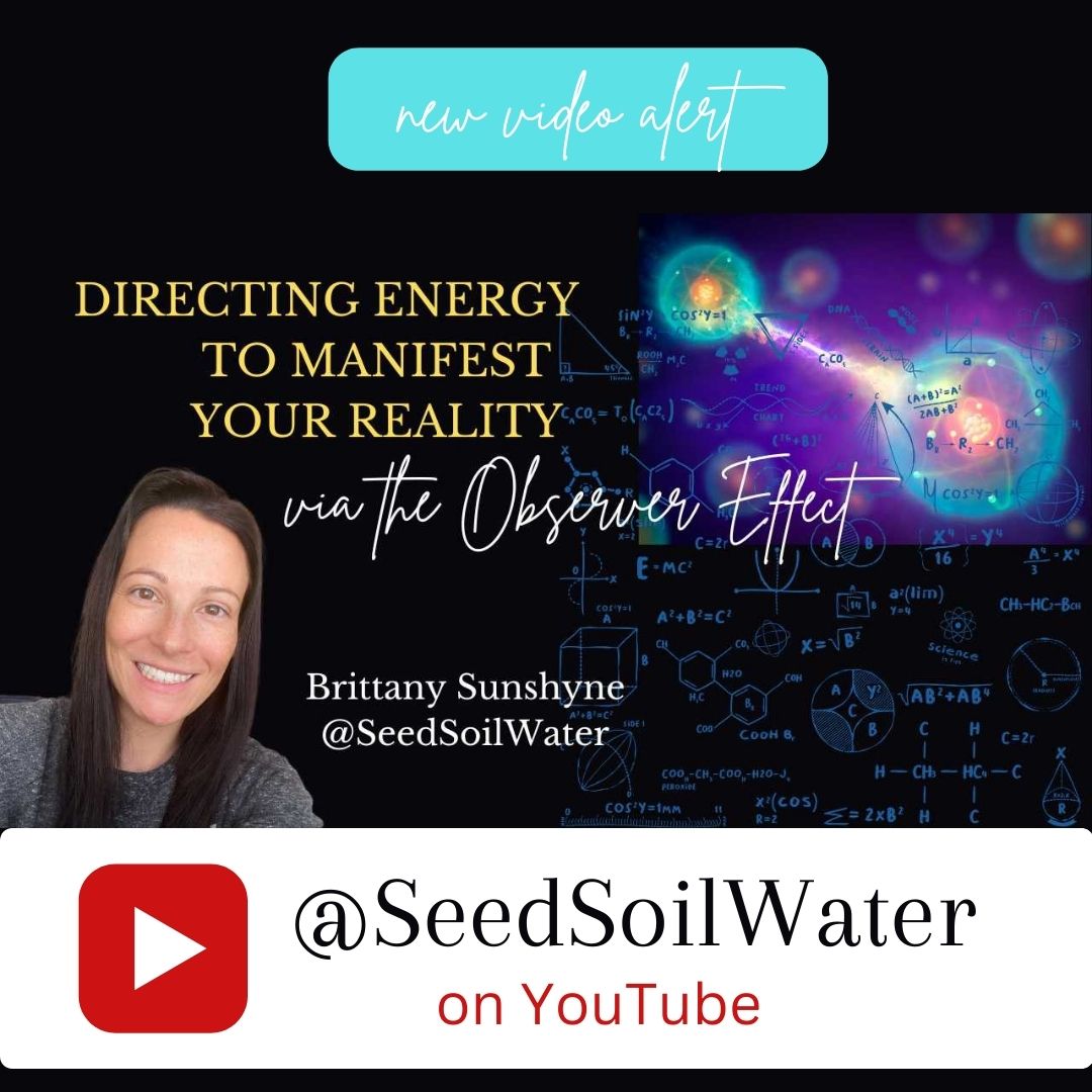 Seed_Soil_Water's tweet image. Ready to take control of your life and manifest your dreams? Join me on a transformative journey through 'Breaking the Habit of Being Yourself' by Dr. Joe Dispenza. Let's tap into the power of our thoughts and emotions together! #lifecreation #realitycreator #youruniverse #create
