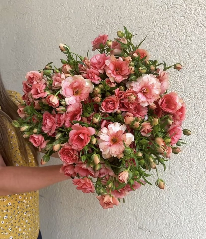DVFlora tweet media