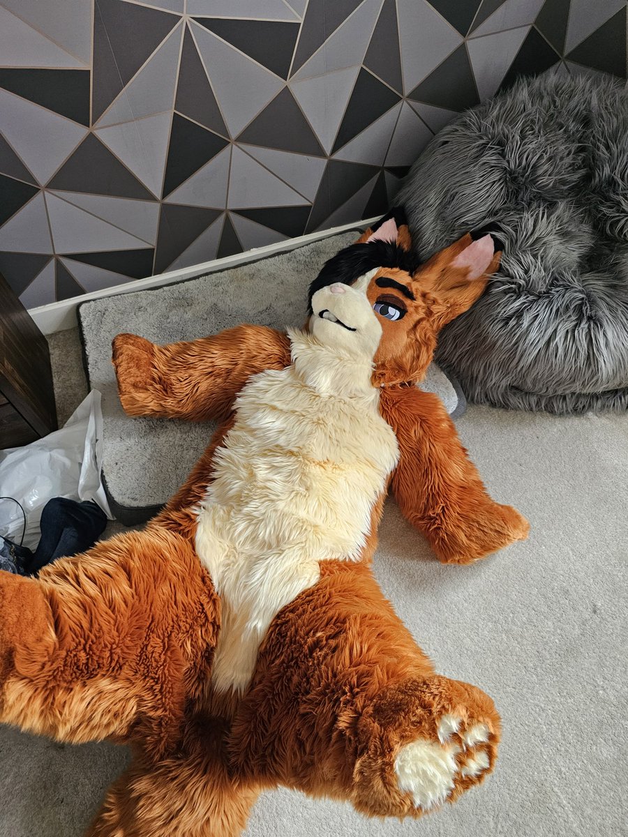 PupCerberus's tweet photo. Oops... I fell over! https://t.co/d93RPgmoUH