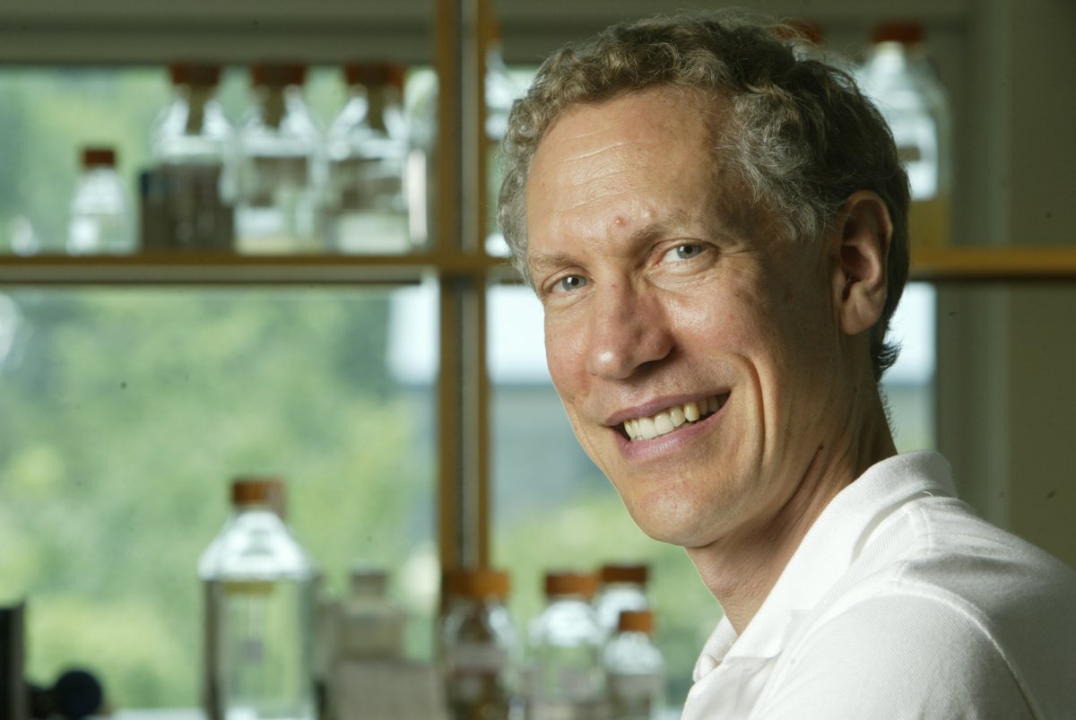NAASC & North American ICAR (@naasc_na_icar) on Twitter photo And additional special event; Monday 15 July.
A tribute to Philip Benfey: Networks facilitate the development of roots & scientists, organized by @Rootstrapping and <a href="/RachelMShahan/">Rachel Shahan</a>. ICAR is a fitting location to remember this giant in the Arabidopsis (& plant biology) world 💕💚💙 And additional special event; Monday 15 July.
A tribute to Philip Benfey: Networks facilitate the development of roots & scientists, organized by @Rootstrapping and <a href="/RachelMShahan/">Rachel Shahan</a>. ICAR is a fitting location to remember this giant in the Arabidopsis (& plant biology) world 💕💚💙