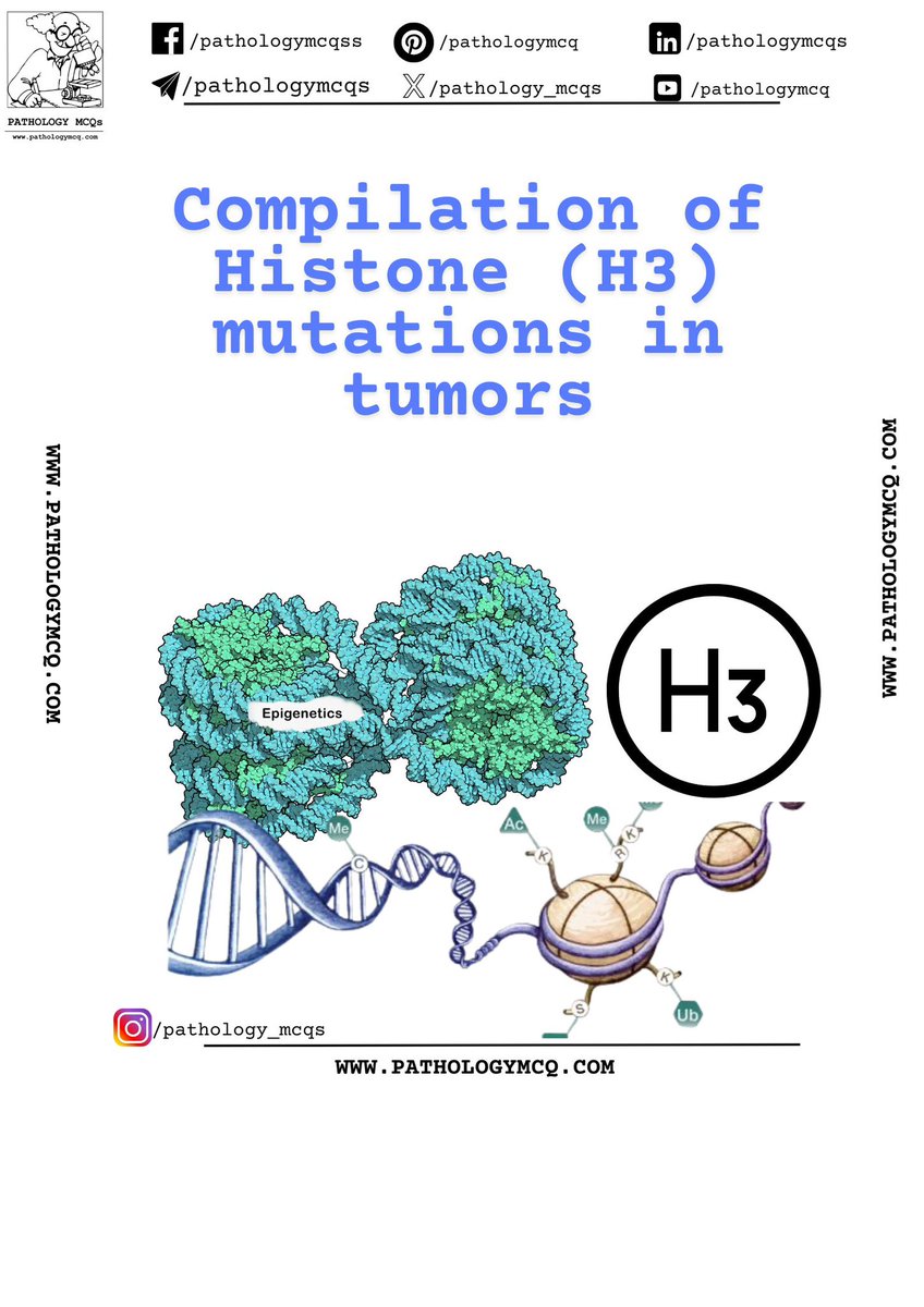 Pathology_mcqs's tweet photo. 🧬Tumors Associated with Histone H3 Mutations

#pathologynotes #pathologyexams #pathology #molecular #cancers #tumors #epigenetics #epigenetic #epigeneticmechanism #epigeneticmodifications #genetics #moleculargenetics #moleculargenetic #gliomas #giantcell #pathtwitter https://t.co/I09CNAz8Ml