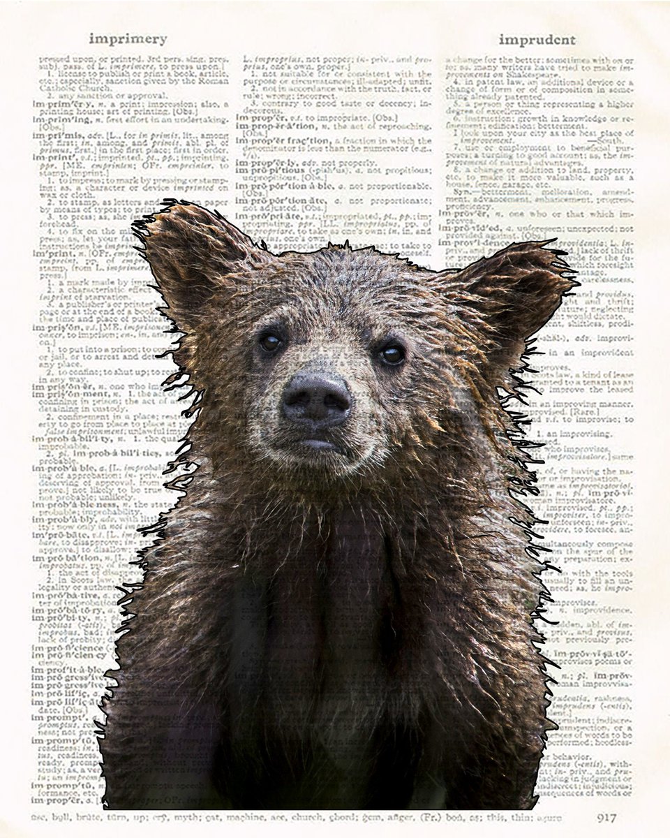 LiteralPrints's tweet image. Tired of boring bathroom decor? Spice up your loo with a soaked baby grizzly cub on a vintage dictionary page. Because why not freak out your guests AND make 'em laugh? 😂🐻 #BearBathroomGoals #RusticWeirdness #EdgyHomeDécor

Curiosity piqued? 👉literalprint.etsy.com/listing/792054…