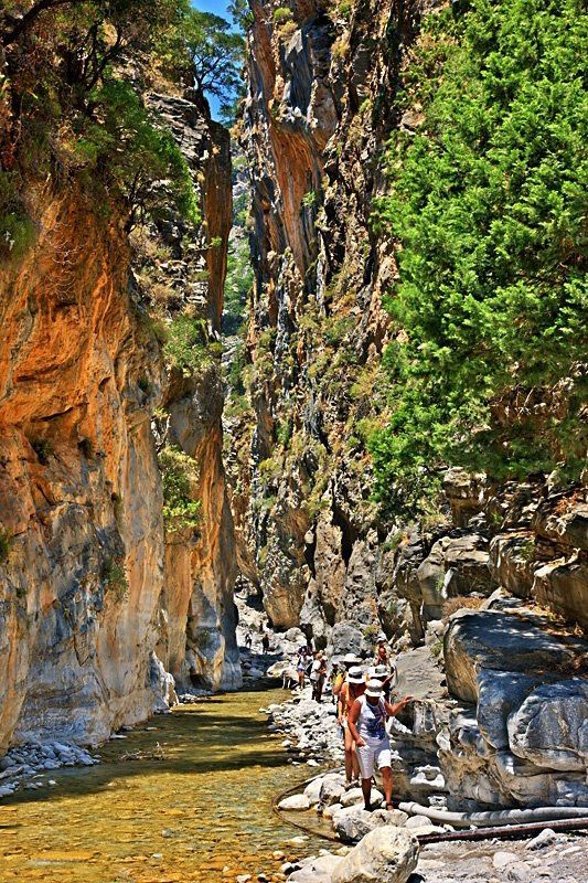 AnemosTours's tweet photo. Crete's adventure awaits! 🇬🇷 Hike the Samaria Gorge, explore ancient ruins, or unwind on pristine beaches. We craft unforgettable experiences in Greece. #CreteAdventure #GreeceTravel https://t.co/v0T7n0NCdY https://t.co/l615LZB5aQ