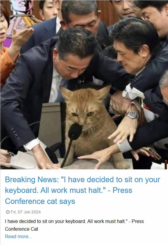 presscatcto's tweet photo. @dj_budsol ROAR

https://t.co/1MgU9hIEZe https://t.co/t9fFTvGR2S
