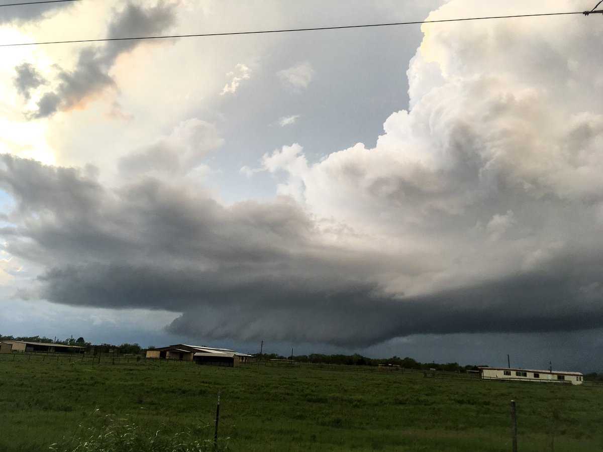 Marcie Gray tweet media