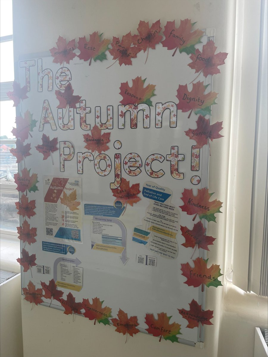 TaraFilby's tweet photo. Lovely display on Mulberry Ward raising awareness of compassionate end of life care @YSTeachingNHS #AutumnProject https://t.co/fjc6wnUtA5