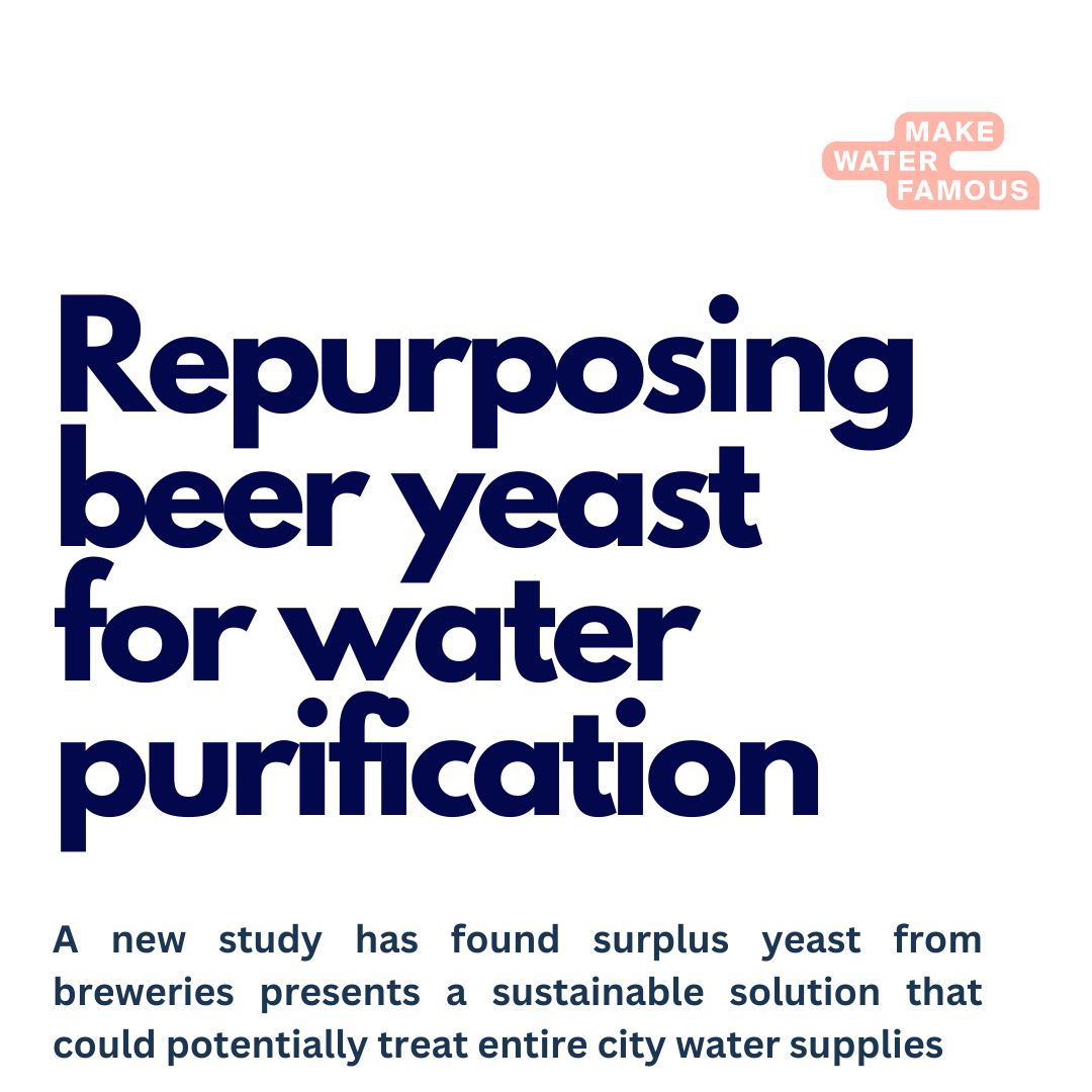 Make Water Famous tweet media