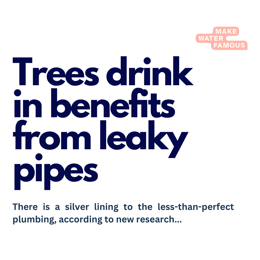 Make Water Famous tweet media