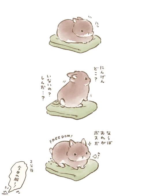 🐰おきたら1匹ぼっちだった…👑 