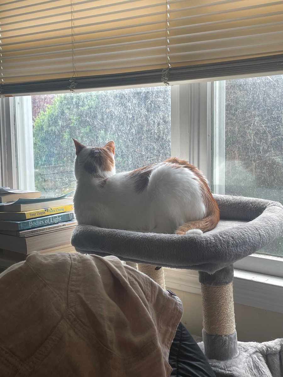 Watching everyone’s posts from NAIC. Hope you have a great time! 🥰