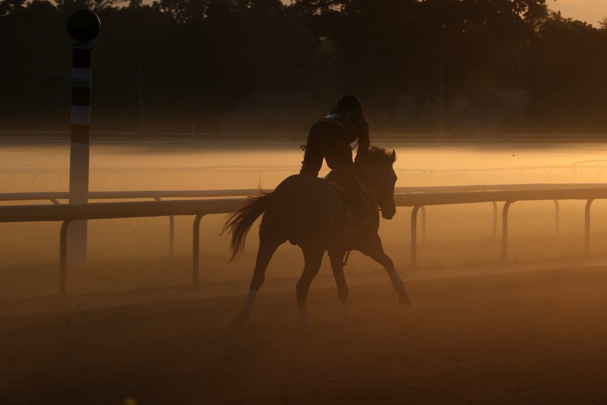 Seize the moment, seize the day.  

SEIZE THE GREY emerges from the morning fog on the Oklahoma Training Track.