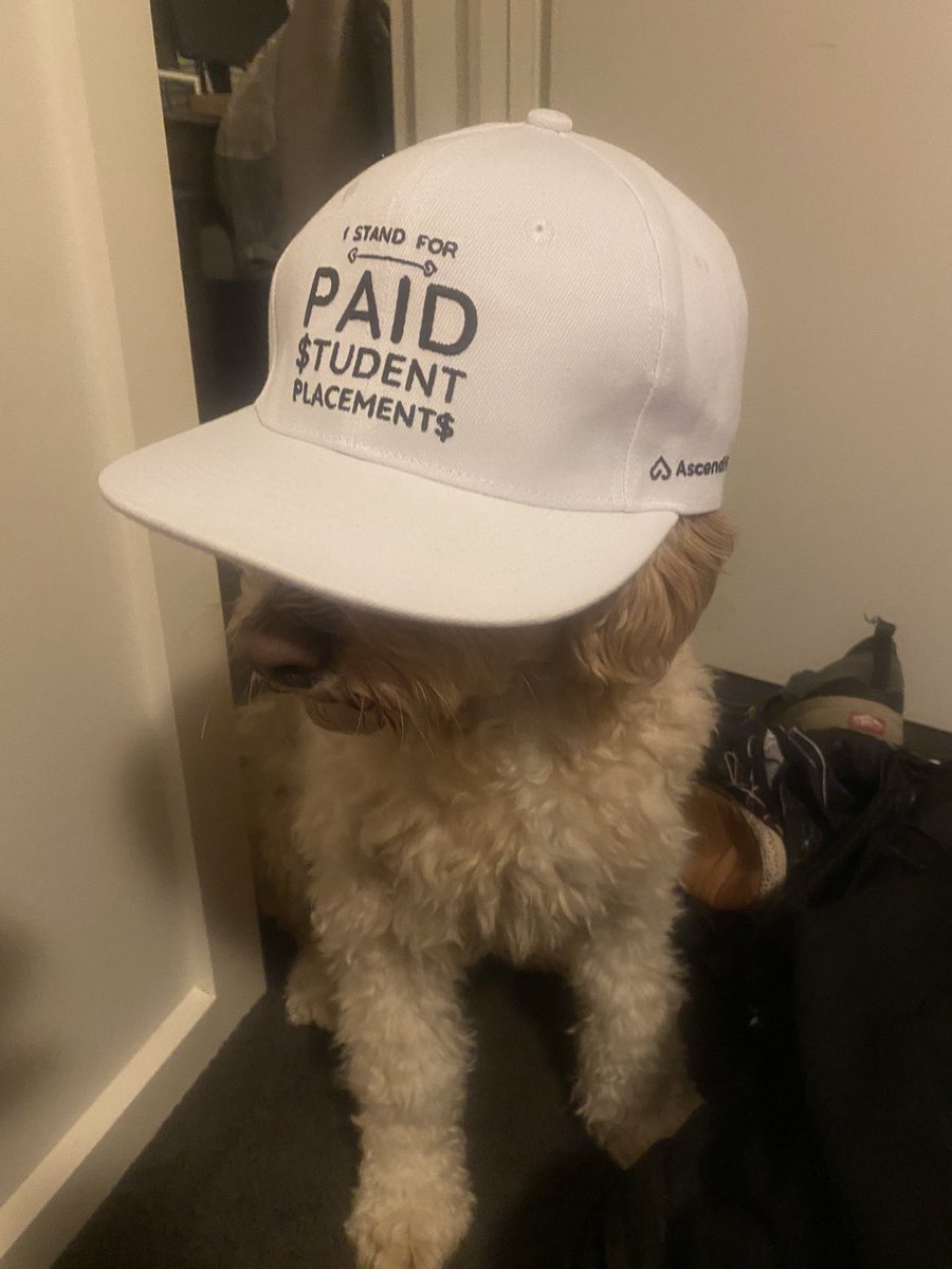 Sprocket loves coteaching speech pathology with me and tonight he wanted you to know he is against placement poverty