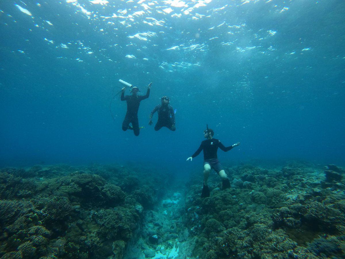 USYD MSI (@usydmsi) on Twitter photo Happy #worldoceanday2024! Let's share our favourite ocean pic! Here's mine!
I love this pic of <a href="/Sydney_Uni/">University of Sydney</a> researchers working hard at <a href="/OneTreeIslandRS/">One Tree Island Research Station</a>.
Share yours and tag <a href="/USydMSI/">USYD MSI</a> <a href="/Sydney_Uni/">University of Sydney</a> Happy #worldoceanday2024! Let's share our favourite ocean pic! Here's mine!
I love this pic of <a href="/Sydney_Uni/">University of Sydney</a> researchers working hard at <a href="/OneTreeIslandRS/">One Tree Island Research Station</a>.
Share yours and tag <a href="/USydMSI/">USYD MSI</a> <a href="/Sydney_Uni/">University of Sydney</a>