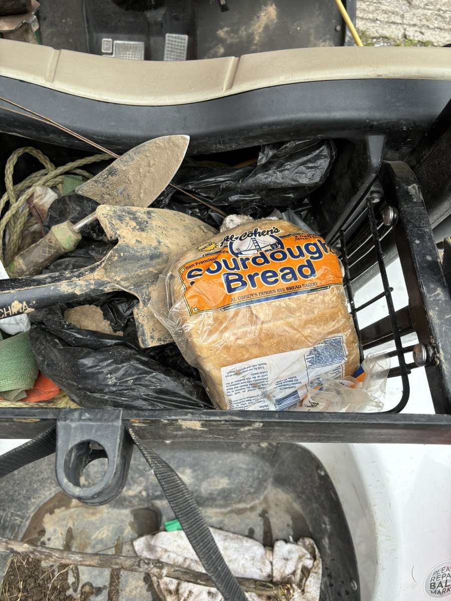 Thad Thompson tweet media