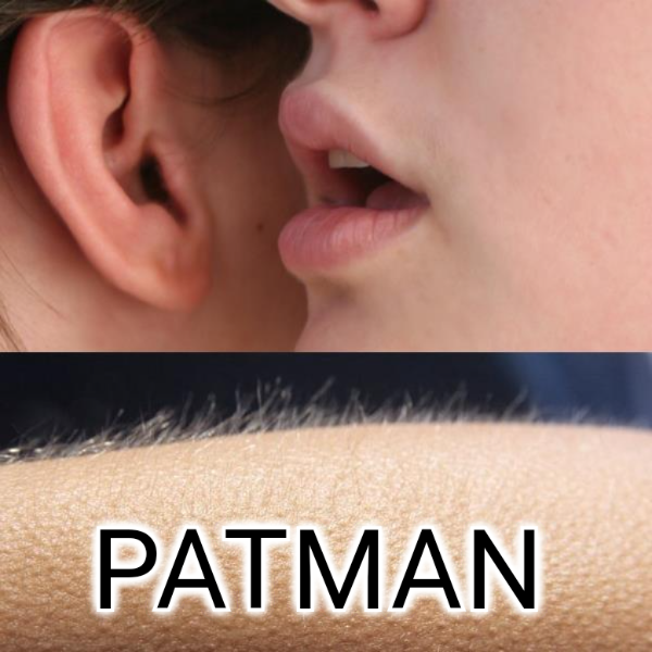Heppcot's tweet photo. @IC_PATMAN 

💎Based LP burned 

Loaded up more #PATMAN https://t.co/z9mANmq2jd