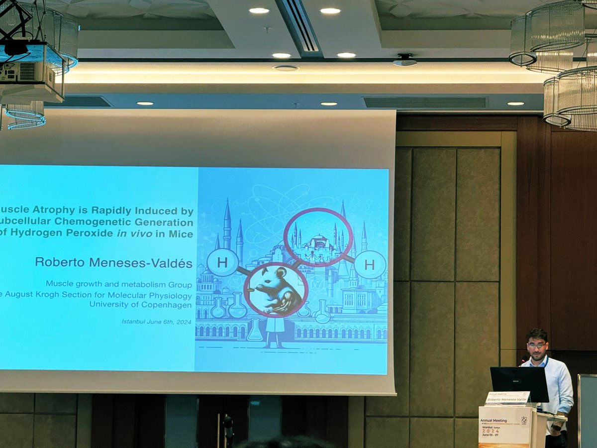 Roberto Meneses-Valdés tweet media