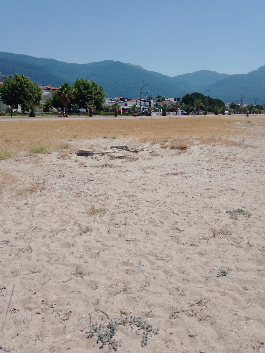 DenizHdrolu's tweet photo. CHP'Lİ Aydın Büyükşehir ve Kuşadası Belediyesi'nin vatandaşa hizmet verememesi ayrı bir soru işareti. Vatandaş CHP'yi tercih etmesi sebebiyle hizmet verilmeyerek cezalandırılıyor mu? Sahil fotoğraflarını da paylaşıyorum, vahim durumu sizlerde görünüz. https://t.co/ijtqwrbTG4