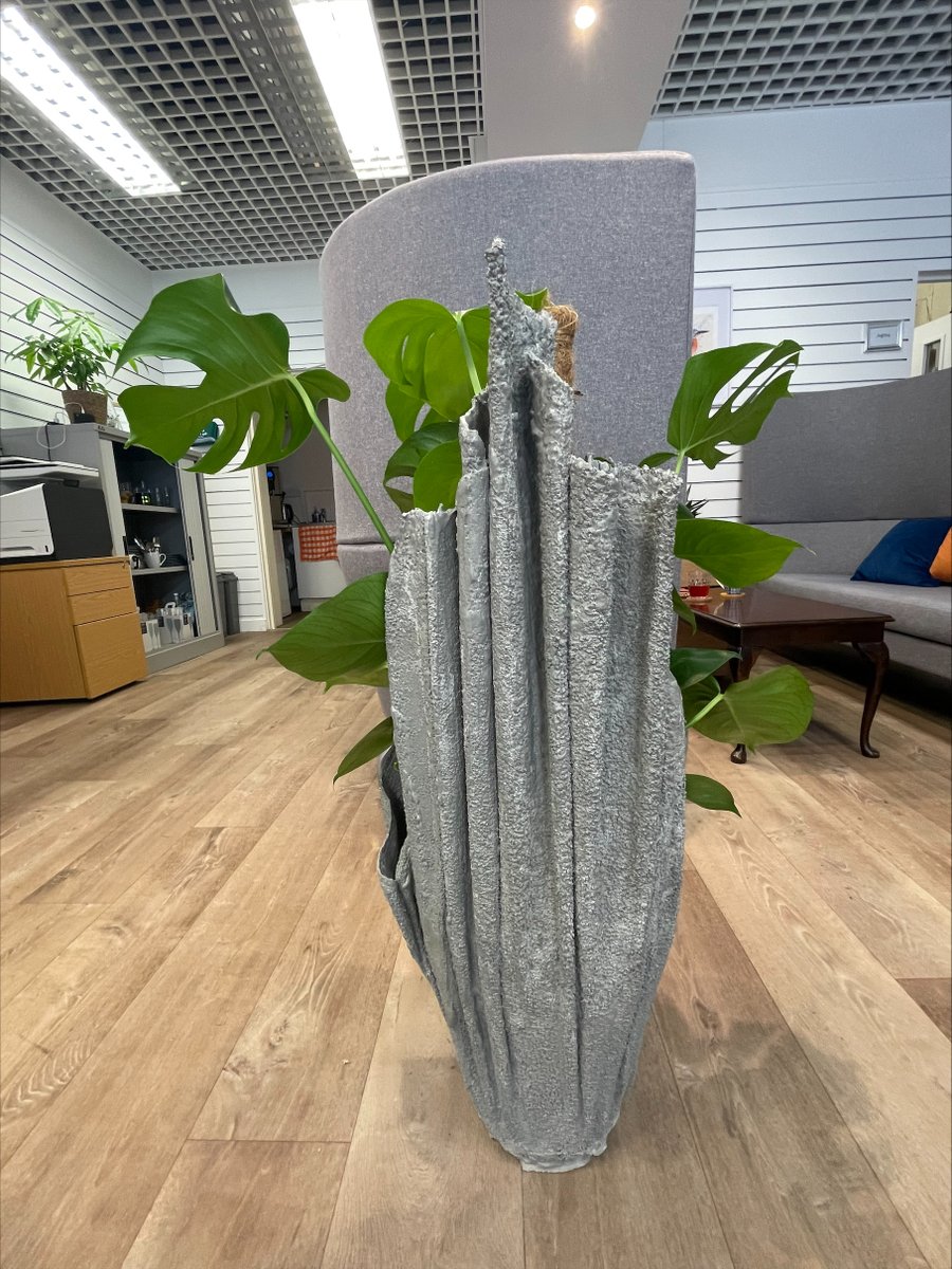 TrowFuture's tweet image. Mark from Trowbridge Service Users Group made us this fab new home for our Cheese Plant! 
TSUG is currently up for an award! @CreativeLivesCL  have nominated the group for its People's Choice award - click here to show TSUG some love and vote!
surveymonkey.com/r/CLAwardsPeop…