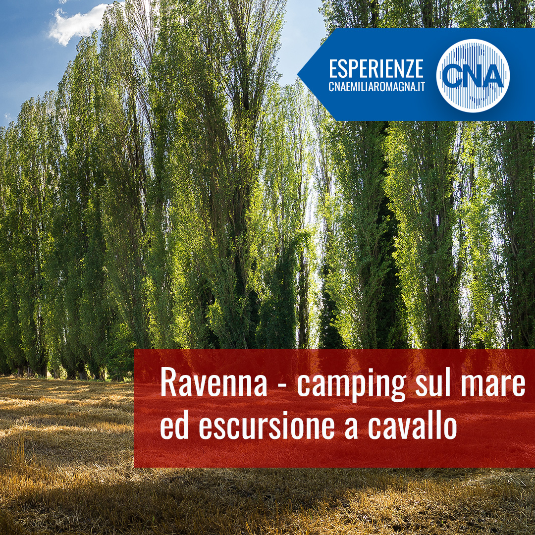 CNA Emilia-Romagna tweet media