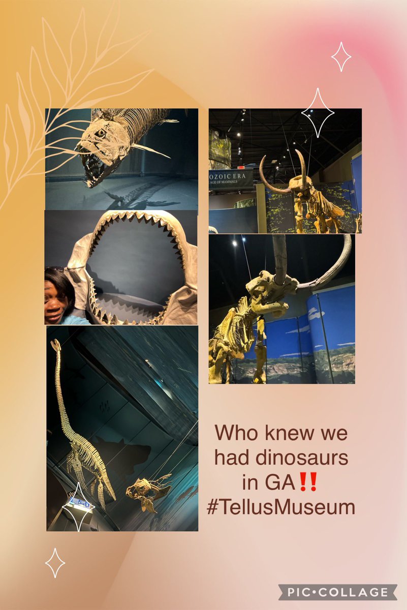 Field trip with CTLA K-5 Integration 
<a href="/CobbCountyESOL/">Cobb County ESOL</a> 
<a href="/CobbSocStudies/">Cobb Social Studies</a>