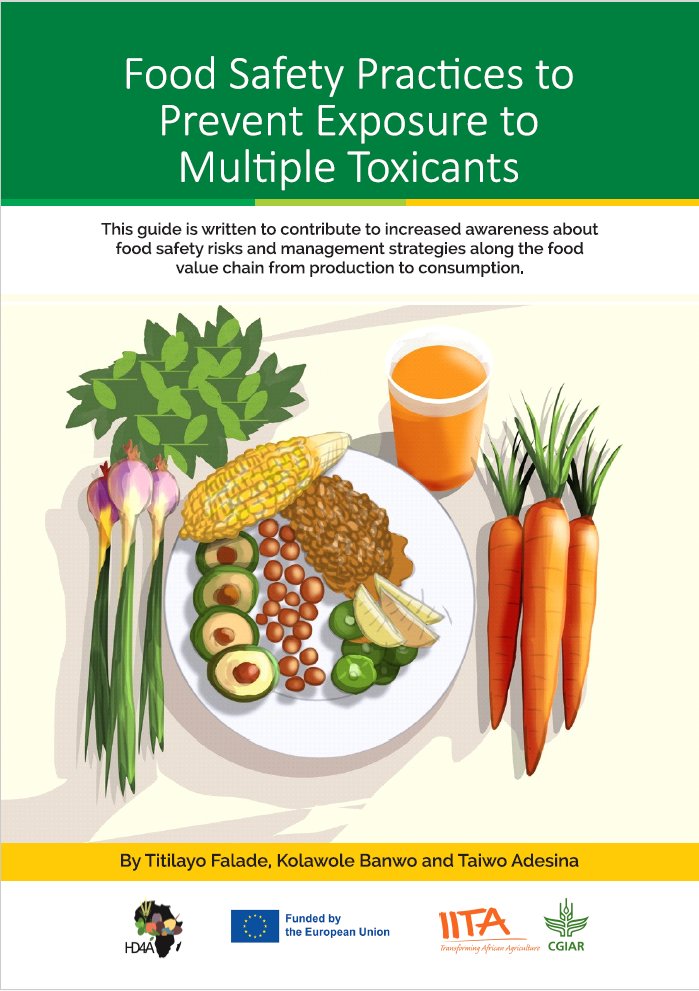 HealthyDiets4Africa tweet media