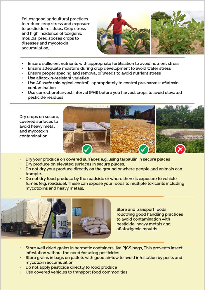HealthyDiets4Africa tweet media