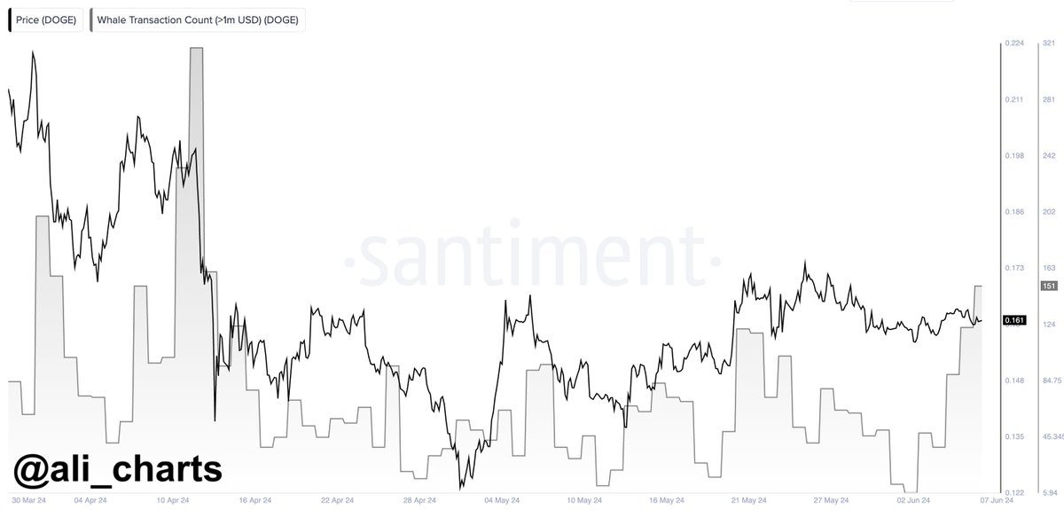 Dogecoin