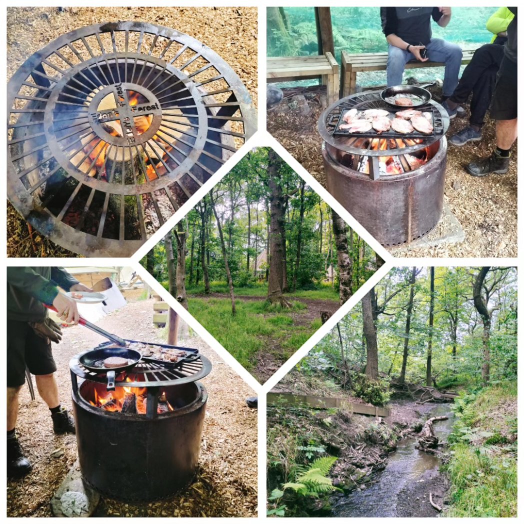 Eden's forest today🌳🍔🥓🐞🦋