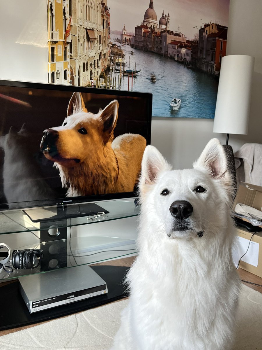 Katte_B's tweet photo. Happiness is being able to hang out with your dog not only in real life but in game too! ❤️ #BaldursGate3 @larianstudios https://t.co/YSzqa3hyvJ