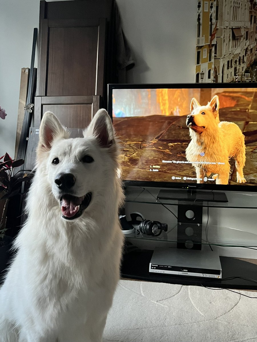 Katte_B's tweet photo. Happiness is being able to hang out with your dog not only in real life but in game too! ❤️ #BaldursGate3 @larianstudios https://t.co/YSzqa3hyvJ