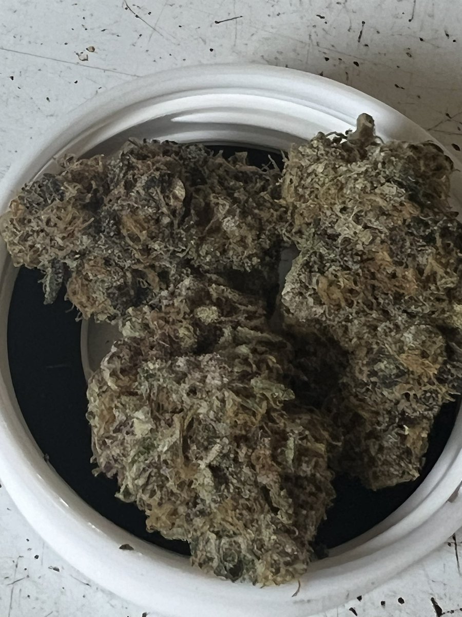 sthrnSTARshines's tweet photo. #GoodAM

I never thought I would wake up to a medical marijuana delivery to my front door before I had my coffee 😎

Day off begins! 🔥 https://t.co/otb4Pbigfv