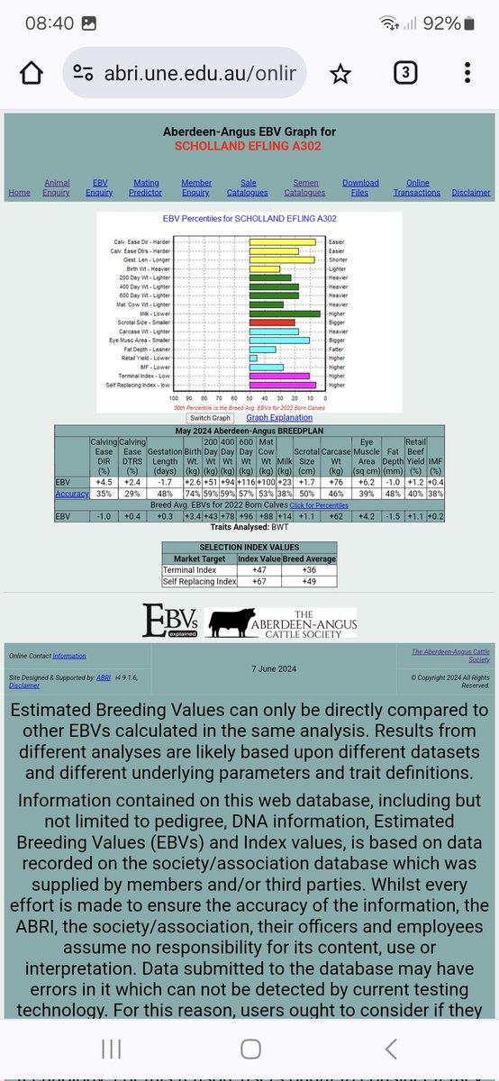 Nice thick bull calf, off a 2nd calver, just over 2 month old. Nicely balanced figures too.