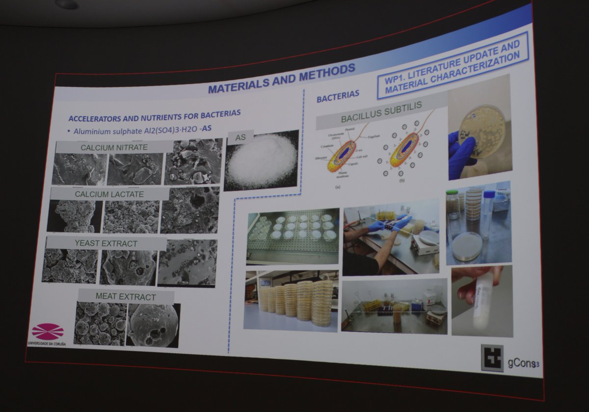 <a href="/SindySeara/">Sindy Seara Paz</a> mostrou os resultados máis salientables do proxecto 3DHEALCONCRETE, que bebe dos coñecementos acadados dos anteriores, para analizar as melloras producidas pola introdución de bacterias na autorreparación e a fabricación aditiva en formigóns con menor emisións de CO2