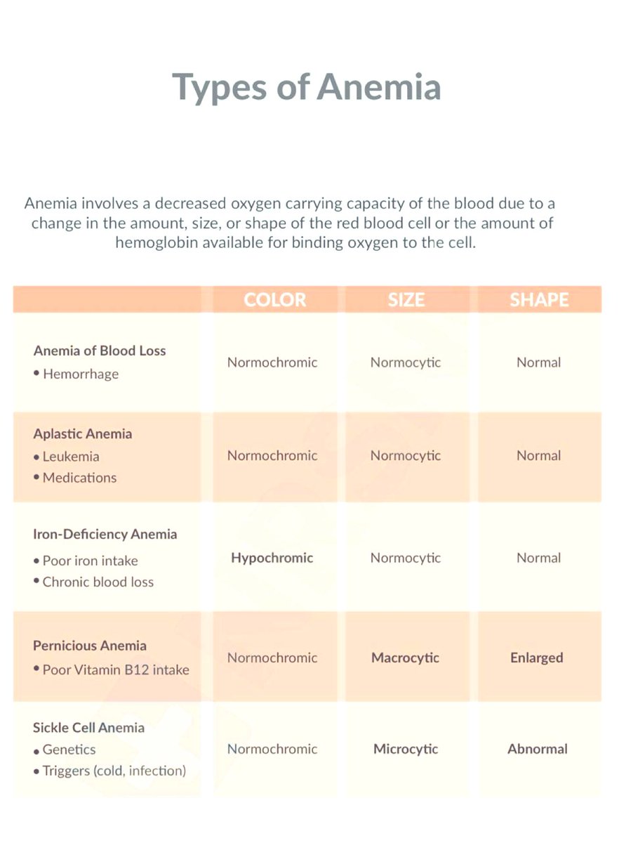 Th9_7's tweet photo. Types Of Anemia https://t.co/ErOPtxI5BC